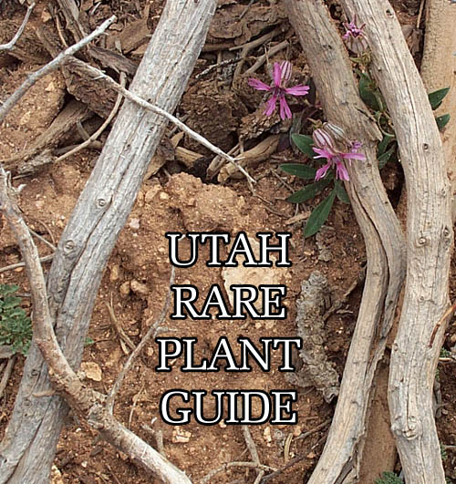 Utah Rare Plant Guide logo