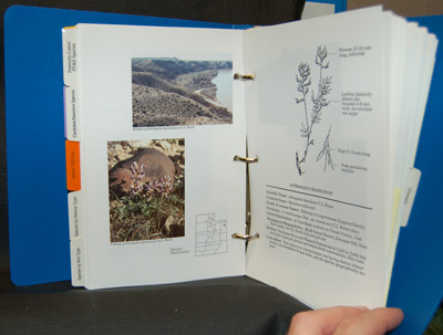 Utah Endangered, Threatened and Sensitive Plant Field Guide (1991)